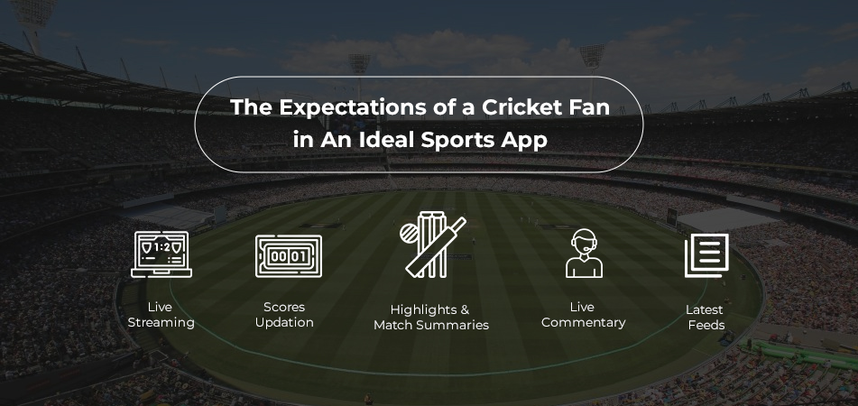 Cricket Fan in An Ideal Sports App