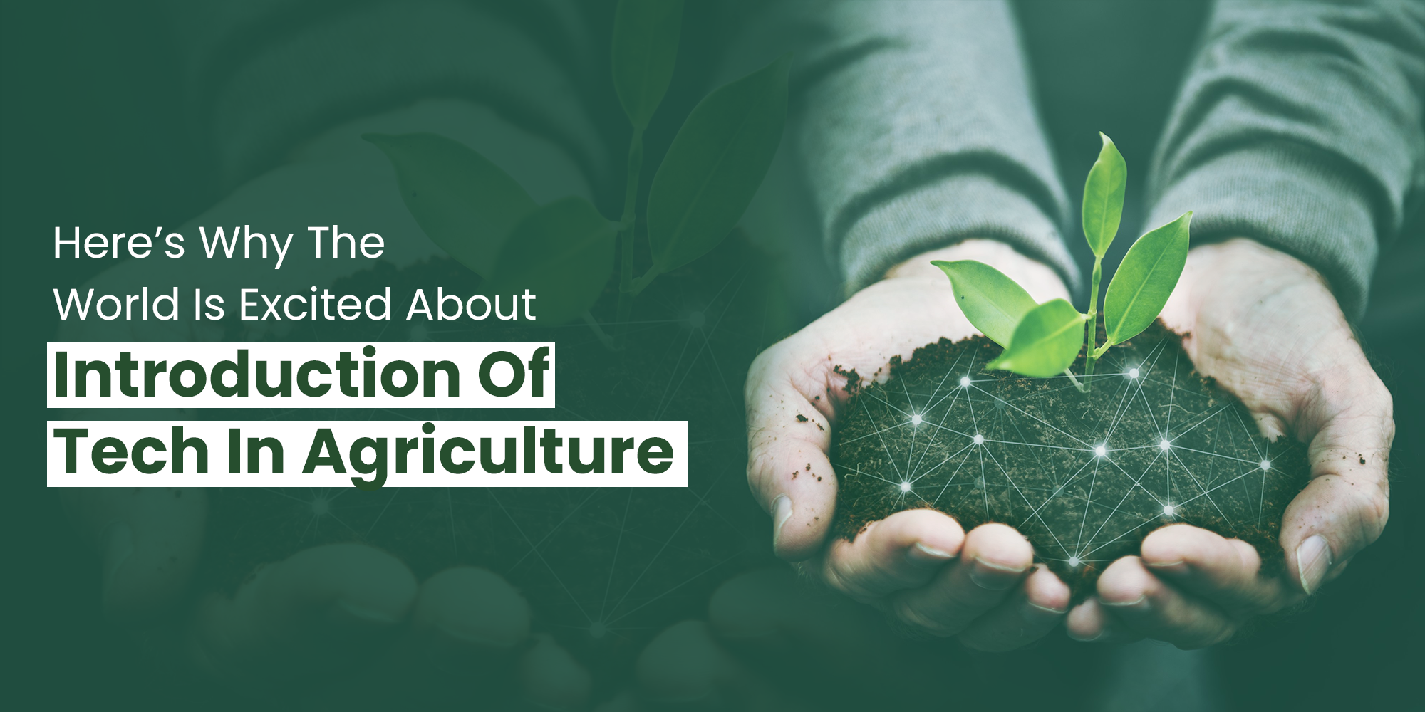 Here’s Why The World Is Excited About Introduction Of Tech In Agriculture