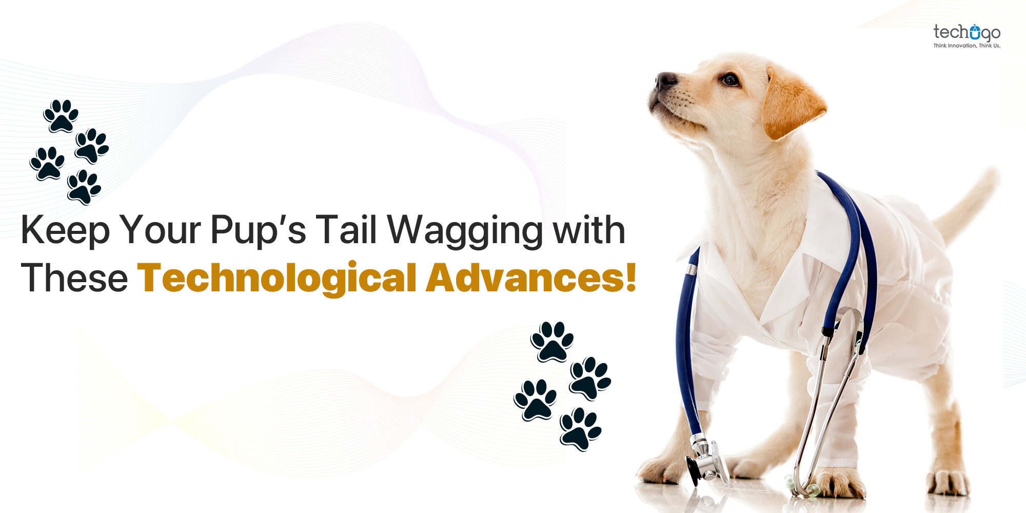 Keep Your Pup’s Tail Wagging with These Technological Advances!