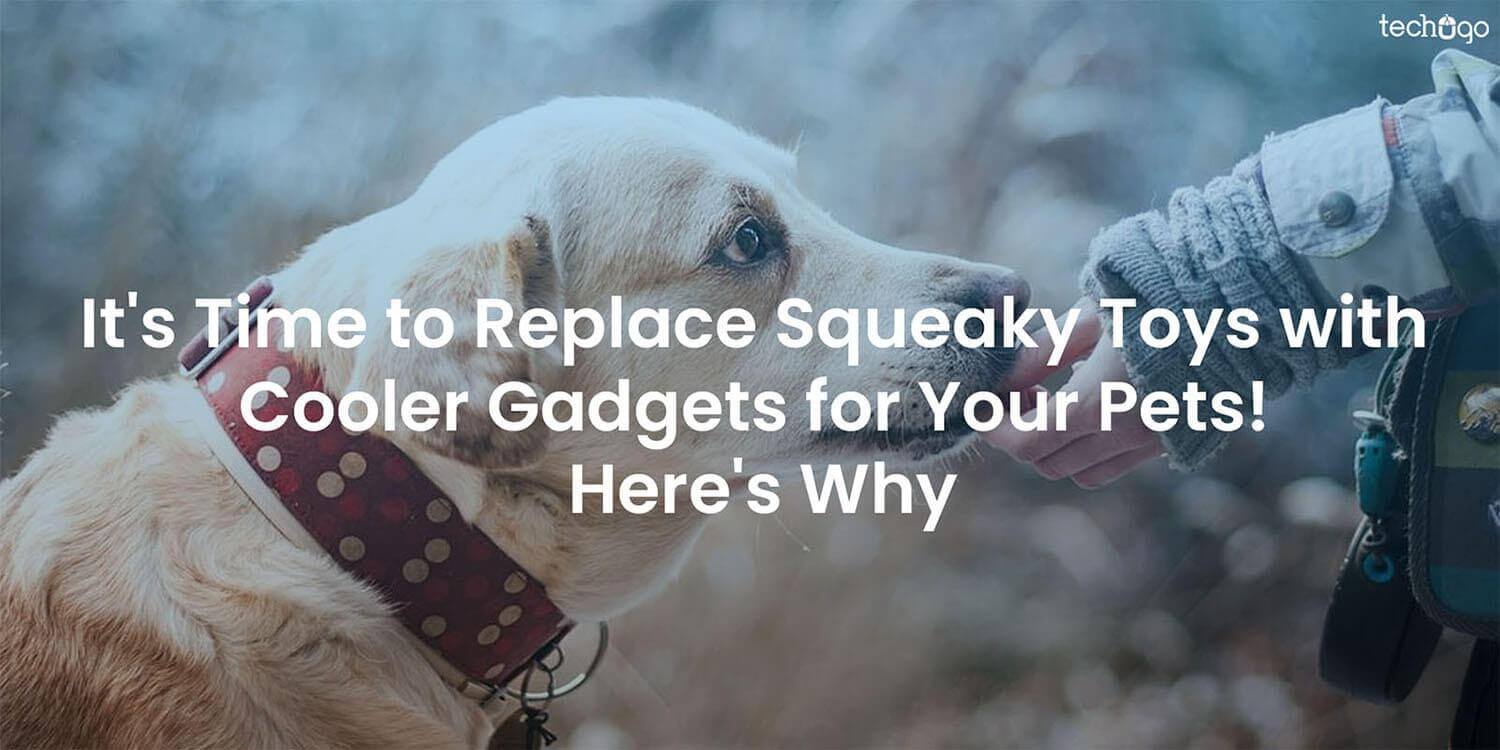 It’s Time to Replace Squeaky Toys with Cooler Gadgets for Your Pets! Here’s Why