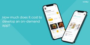 How much does it cost to develop an on-demand app?