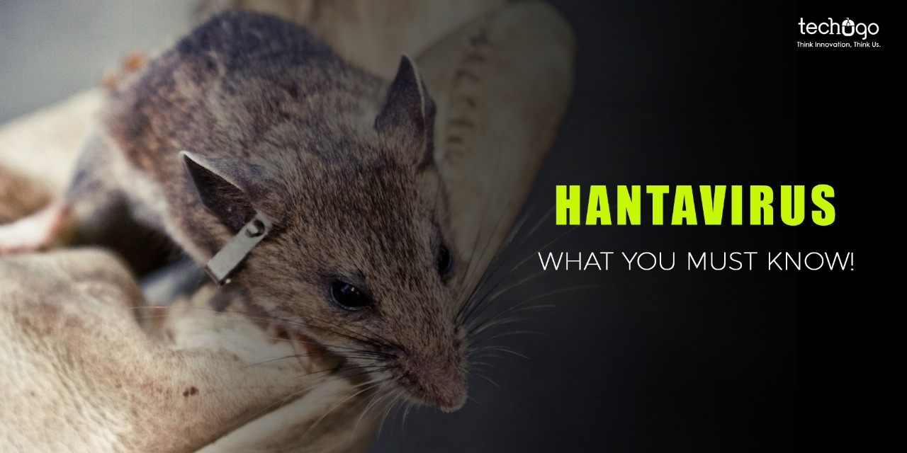 Hantavirus; What You Must Know!