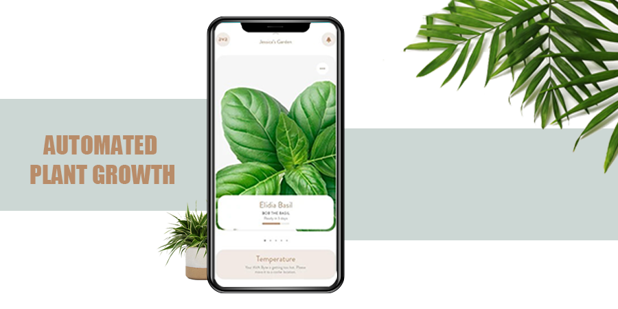 Automated Plant Growth

