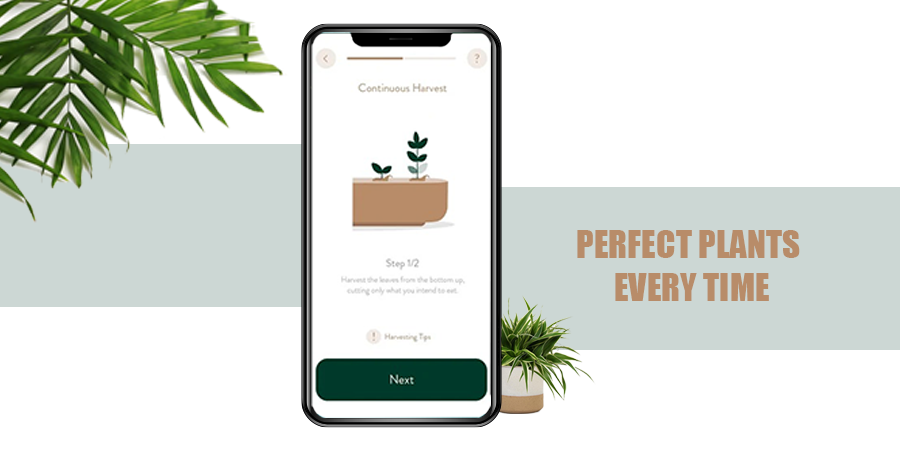 Perfect Plants Every Time
