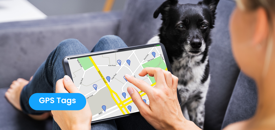 GPS Tags