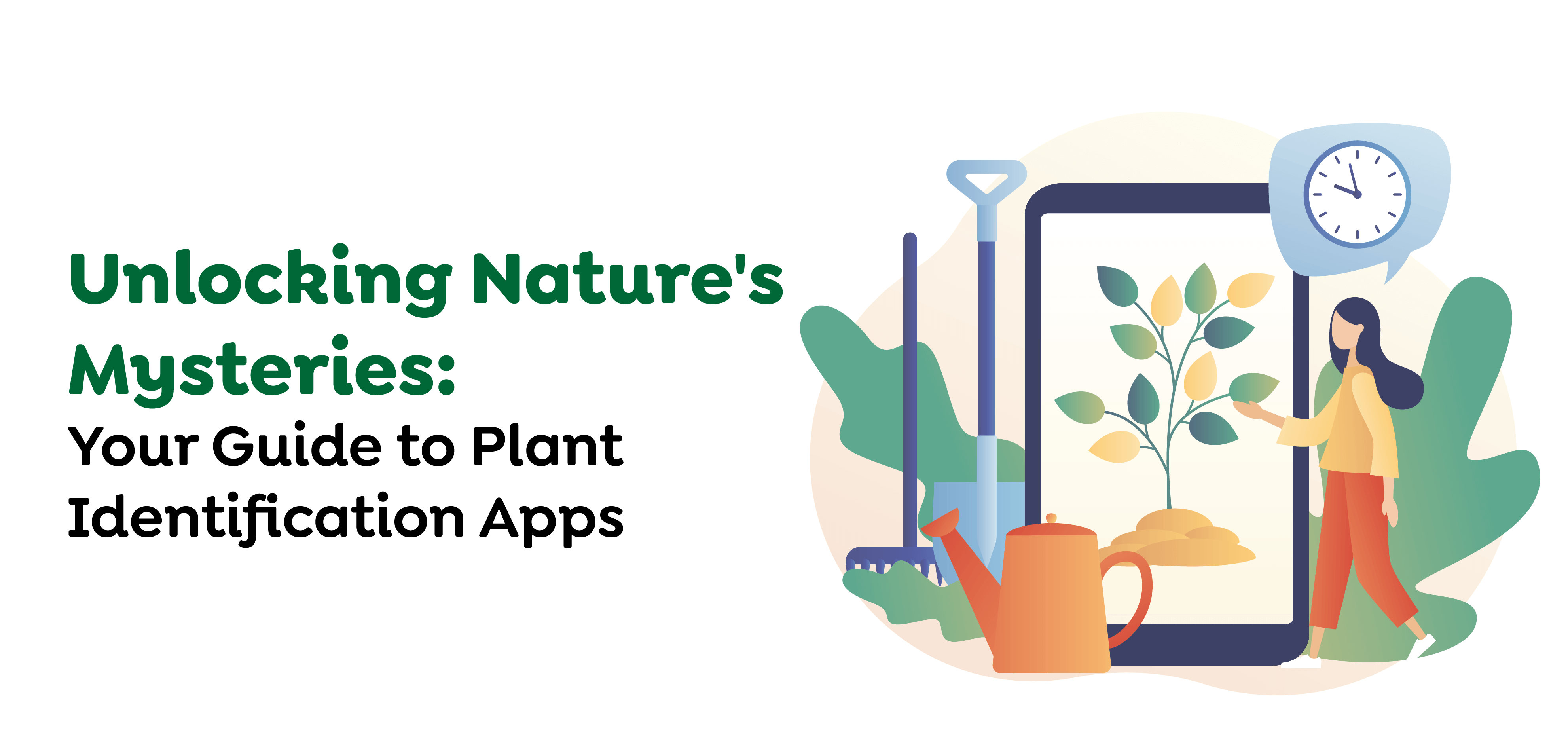 Plant Identification App