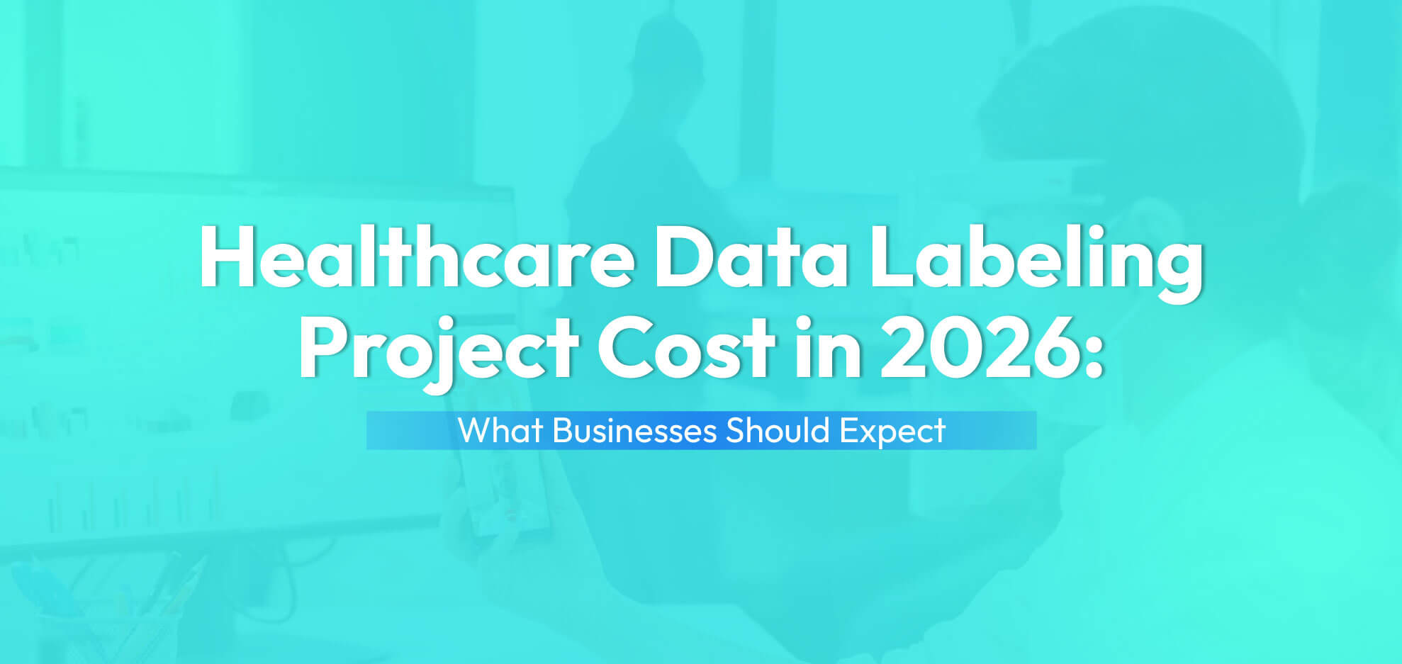 Healthcare Data Labeling Project Cost