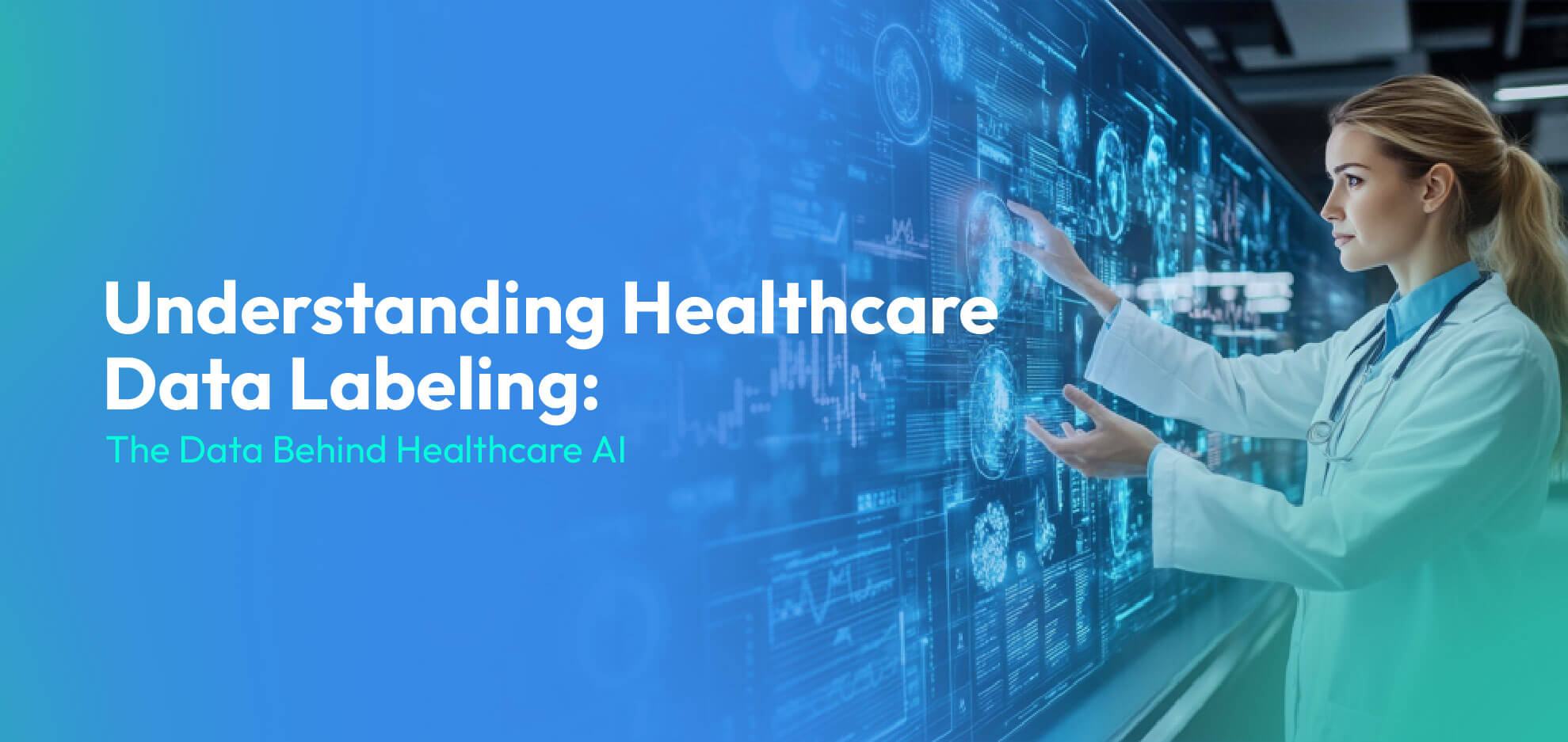 Healthcare Data Labeling